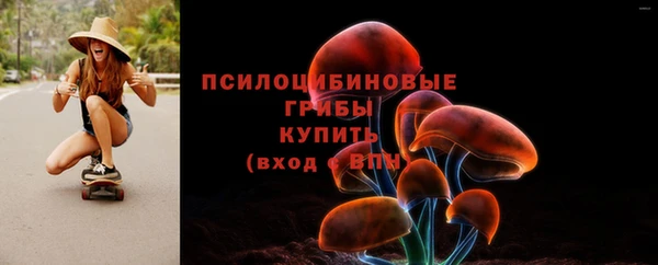 ешки Алексин