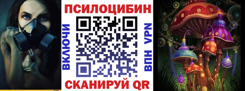 Галлюциногенные грибы Psilocybine cubensis  Белореченск 